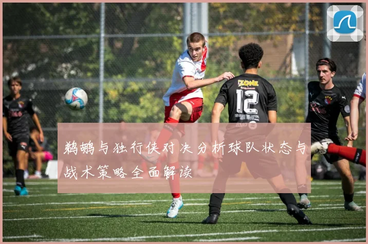 鹈鹕与独行侠对决分析球队状态与战术策略全面解读